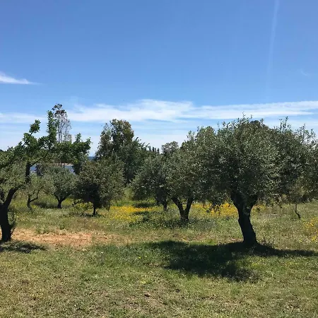 Villa Sa Curcurica Orosei