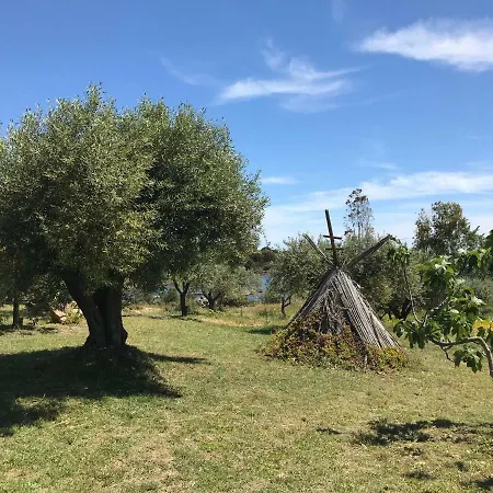 Sa Curcurica Villa